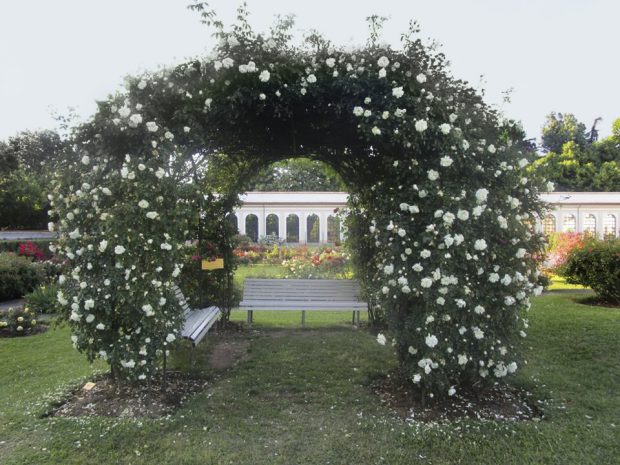 LA BELLA DI MONZA – reading di poesie